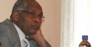 Ethiopian Minister of Mines Tolossa Shagi 
