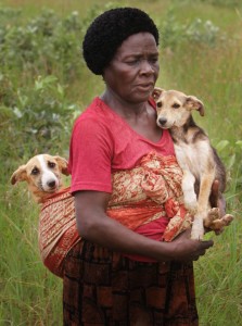 Elizabeth Mukuhwu, carries her pets, Tina and Cheetah, to an animal clinic run by volunteers in Chishawasha, east of Harare, Zimbabwe. Widow Elizabeth Mukuhwu sees her two puppies as her companions, not as a commodity. Strapping one on her back and holding another, she sometimes walks five kilometers (three miles) to get her dogs veterinary services at a clinic in Chishawasha.
