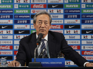 Former Fifa vice-president and Hyundai shareholder Chung Mong-joon .