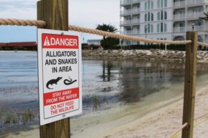 Newly installed signs warn of alligators and snakes on a closed section of beach after a boy’s death near a Walt Disney World hotel.