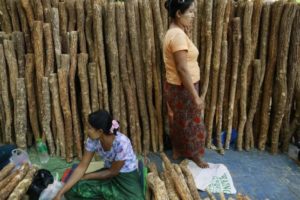 Women sell Thanakha wood at the Kyaik-Khauk pagoda festival in Tanlyin township, outside Yangon.