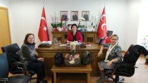 President of the Association for Support of Women Candidates, KADER.