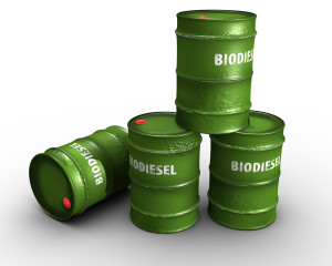 biodiesel in green barrels