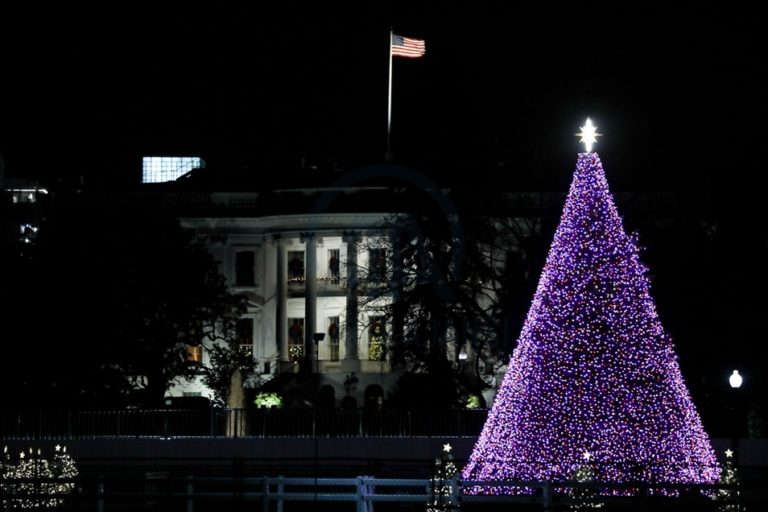 White House Christmas Tree Light