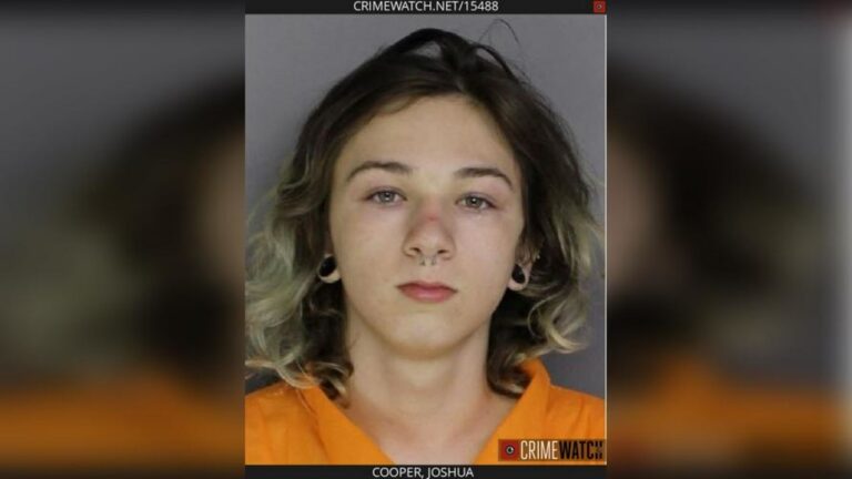 Transgender teen sent to prison for killing 12-year-old girl — RT World News