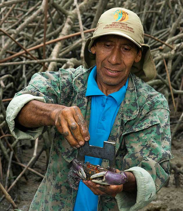 Fall-out from Ecuadors Crises Highlights Need to Invest in Grassroots Resilience — Global Issues