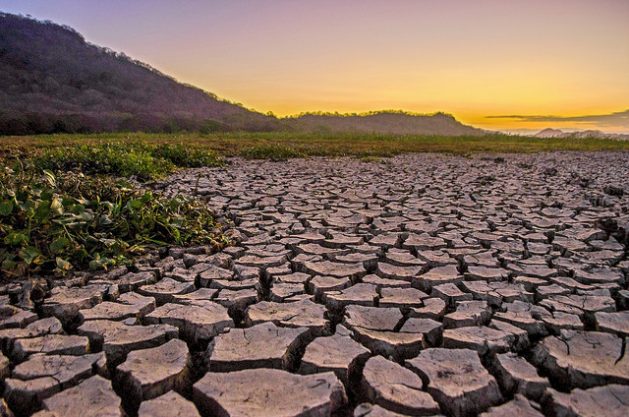 To Mitigate Climate Change Associated Disasters That Impact the Agricultural Sector